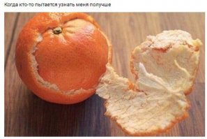 Поразительные сюрпризы, спрятанные внутри обыденных вещей