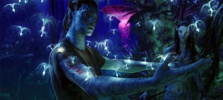 Чудеса Новой Зеландии: светлячки превратили своды пещер Вайтомо в звездное небо