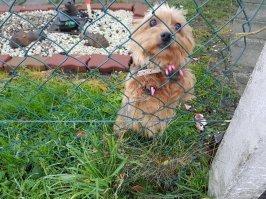 Из личного . У знакомых сфоткал