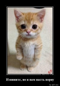 Картинки с надписями для настроения