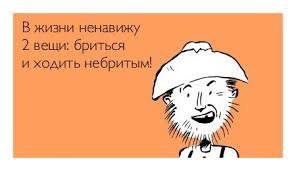 Так вот зачем мусульмане отращивают и окрашивают бороды