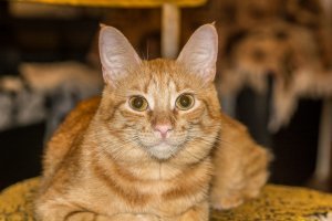 Мой.Сегодняшнее фото.