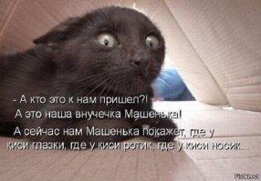 Контактные зоопарки