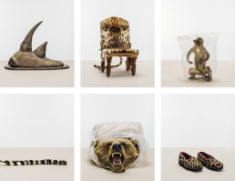 вообще-то, в NYT большая статья обзорная по Репозиторию в Денвере. А до этого была статья в Гардиан. Это, конечно, таксидермический п...ц.