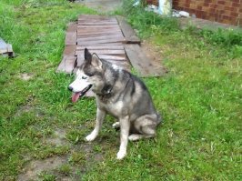 Всё мля... устал