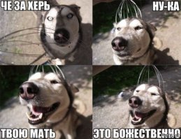 Купите ему эту хрень)