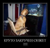 Неизвестный оставил номер телефона после того, как врезался в автомобиль в отсутствие его владельца