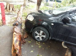 а вот мои приколы личные: (1фото) люди фотографировались рядом, не верили везению. (2фото) 3 дня назад у меня эвакуировали авто, т.к. считается парковка на мосту, а им видимо закон не писан