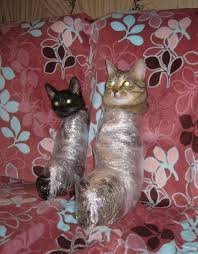 вот еще один способ спасти елку