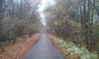 Ха, ЖПС! Живу не в городе, практически каждый день, гуляя с псиной вылавливаю иной раз и по несколько бедолаг, которых жыпысы в ипуня заводит. Специфика такая - санаторий тут у нас, но его нет ни на одной электронной карте, вот и едут, как бараны, невзирая на антураж (гаражи, сараи,лес), вместо того чтобы тупо по главной чесать. Вот такая там дорога, развернуться никак, приходится задом в горку метров 50 чухать.