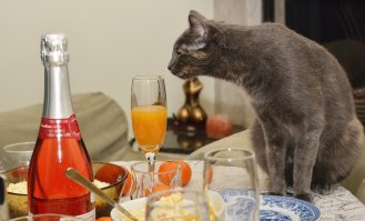 Гусик, салатики. Главное - компания :)