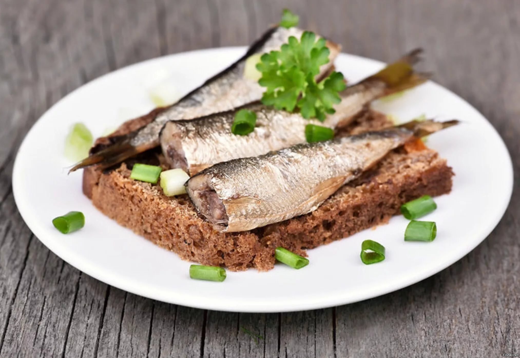 Рецепты рыбы шпроты. Sardines шпроты. Бутерброды с сардинами. Бутерброды со шпротами. Закуска из кильки.