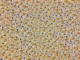 Примерно как такой пазл собирать