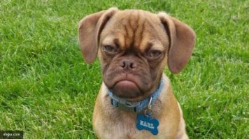 тоже добрый мальчик