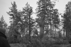 "Любовь и голуби"