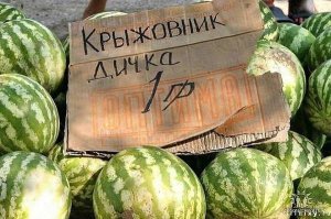 Этот креативней