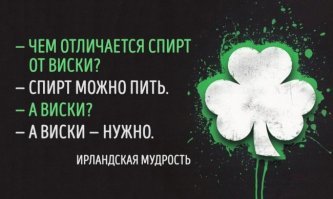 27 фотографий со вкусом виски