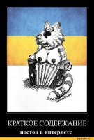 Названы главные котики страны-2017