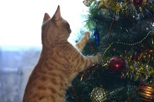 Пока никто не видит