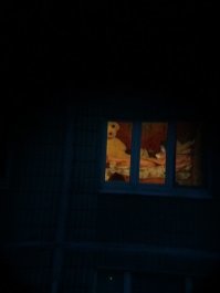 Вот так и становятся вуайеристами