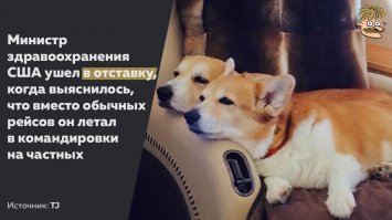 Привет от корги Шувалова!