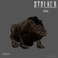 Страшнее вепря зверя нет! Кабанчик пытается забодать своего обидчика