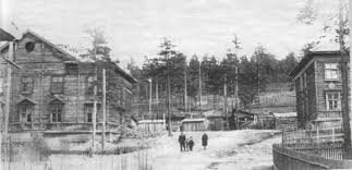 слишком угнетенно преподнесено. Там климат ужасен, особенно для "нью" поселений. Температуры меняются от 18 С до менее чем 4 С в горах на севере штата. Лето - от 36 С на небольшой высоте до 26 С в более высоких областях. Самая высокая температура была отмечена 1994 года и составила +50 С. Самая низкая температура 1951 года и составила -46 C. Там страшная пустыня, которую потом сделали полигоном для испытаний оружия. В пример: Сибирь, также климат не способствует... (фото 30х)