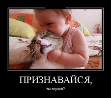 Терпеливые животные и дети