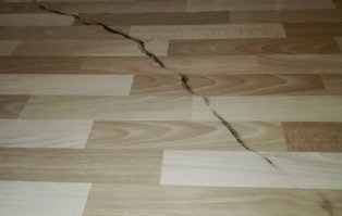 Наверное, все кошатники через это прошли.