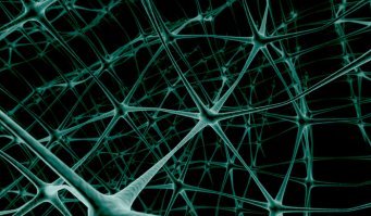 Странно, что про нейроную сеть ничего не сказано. Это сеть по образу головного мозга сделана. Она способна сама обучаться и решать наисложнейшие задачи. Если в компьютер мы сами закладываем базу знаний, и комп их перебирает. То сать способна сама учится. Недавно прошел матч шахматный между Альфа Зеро основанной на нейронной сети, и самой сильной на данный момент шахматной программой Стокфиш. А гроссмейстеры уже давно бессильны против компютерных программ. И вот Альфа Зеро показала, как это можно делать. Альфе Зеро просто дали 4 часа самой с собой поиграть в шахматы и обучится игре. После 4 часов устроили поединок с чемпионом мира среди шахматных программ. Провели 100 партии, из них 72 ничьих и 28 побед Альфы. Это считается разгромом. Далее они по состязались в других играх, где нейрон всех громил. Это было просто развлекалово. Куда интересно они будут использовать этот мозг на самом деле, вот этот вопрос пугает. А владеет таким супермозгом гугл, т.е. Америкосы. ))