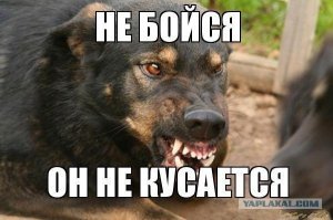 Твой ответ напомнил вот это