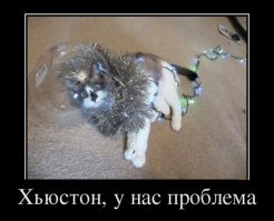 У них лапки! 17 котов, которые думают, что они елочные украшения