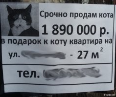 Объявление на заглядение