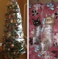 Есть способ нормально встретить НГ