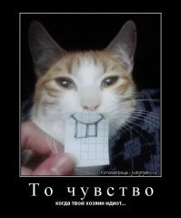 Эта собака может держать на своей голове абсолютно всё что угодно. Вообще всё!