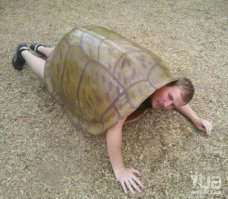 Спасение запутавшейся в 700-килограммовом грузе кокаина черепахи