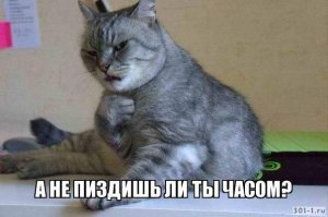 Что за срач я только что прочел?
(((И вот теперь я в полной .опе- нет денег на дрова, нет денег на лекарства, нет денег на еду, прописки нет, работы нет, имущества нет, друзей нет, и главное- перспектив нет...)))
   И при этом чел сидит в интернете (на него деньги есть) и строчит комменты на компе или айфоне (на который тоже деньги есть).