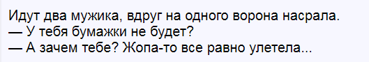 В Великобритании на деревьях закрепили шипы, чтобы птицы не гадили на припаркованные автомобили