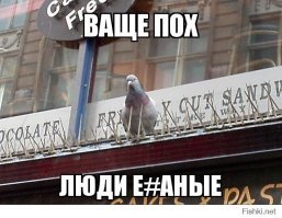 В Великобритании на деревьях закрепили шипы, чтобы птицы не гадили на припаркованные автомобили