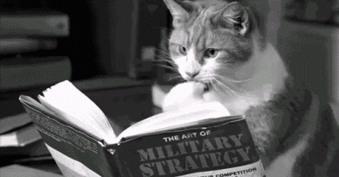 Открылась дверь и отец внёс “ЧМЫНДЮ”… она сидела в прихожей и боялась пошевелиться