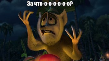 "Животных-эндемиков лемуров, не сохравнившихся в дикой природе более нигде в мире, в деревнях можно нередко встретить привязанными на поводок. Один из основных символов страны для местных жителей является ЕДОЙ ".