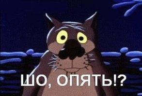 Жительница Бразилии попыталась пронести в тюрьму 12 пистолетов