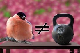 Очередная пятничная подборка СМС приколов, цитат и открыток