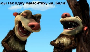 Похлебка — довольная свинка, выросшая среди 5 собак и считающая себя одной из них