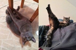 Дочери Брюса Уиллиса похвастались своим откровенным фото в джакузи