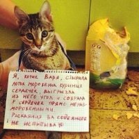 Смешные картинки с надписями