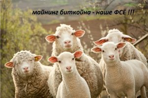 А не мешайте думкой богатеть