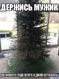 Фотоподборка за 22.12.2017