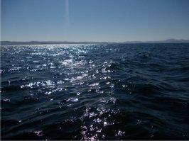 Охренеть, бедные англичане, это что за ядовитая вода...