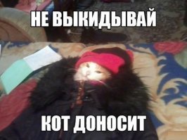 Картинки с надписями для настроения